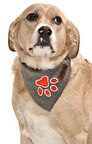 Köpek Bandana / Alke