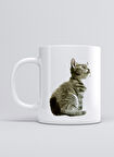 UADAC KEDİLER 02 KUPA MUG
