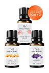 Japon Kiraz Çiçeği, Kavun, Lavanta Uçucu Yağ Buhurdanlık Yağı 10ml x 3'lü Set