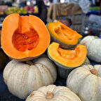 Ata Tohumları Geleneksel Arıcan Tatlılık Reçellik Balkabağı Tohumu (10 tohum)