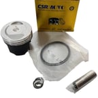 PİSTON SEGMAN WEGO 075 CSR