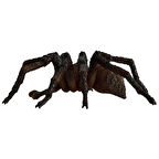 Schleich Harry Potter Aragog Figür 13987