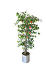 Yapay Nar Ağacı 180 Cm 30x30 Metal Saksı