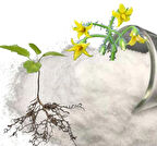 Çiçeklendirici, Kök Geliştirici Fosfor Ağırlıklı NPK Gübre FENASA 11+30+11+TE (10Kg)