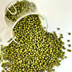 Geleneksel Ata Tohumları Maş Fasulyesi Tohumu (20 tohum)