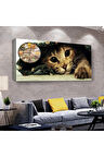 Sevimli Kedi 120 X 60 Saatli Kanvas Tablo