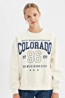 DeFacto Loose Fit Bisiklet Yaka Baskılı Kalın Sweatshirt C7811AX24WNWT32