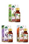 Arifoğlu Lavanta Yağı + Kekik Yağı + Okaliptus Yağı 3 x 20 ml.