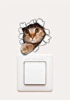 Duvardan Çıkan Kedi  Priz Sticker