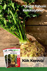 8.000 Adet Yerli Ata Kök Kereviz Tohumu