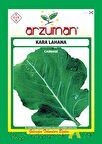 Arzuman Kara Lahana Tohumu 10gr