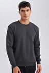 DeFacto Regular Fit Bisiklet Yaka Jakarlı Sweatshirt D5394AX24AUAR84