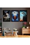 Gümüş Aynalı Pleksi Çerçeveli Arka Planlı Üçlü Mdf Tablo Seti