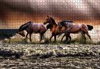 Cakapuzzle  Kumsaldaki Atlar Puzzle Yapboz MDF Ahşap