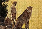 Cakapuzzle  Çift Leopar Puzzle Yapboz MDF Ahşap