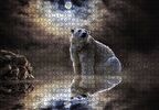 Cakapuzzle  Kutup Ayısı Doğa Gece Puzzle Yapboz MDF Ahşap