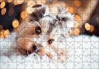 Cakapuzzle  Sevimli Yorkshire Terrier Puzzle Yapboz MDF Ahşap