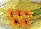 Cakapuzzle  File Üzerinde Turuncu Papatya Demeti Görseli Puzzle Yapboz MDF Ahşap