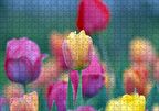 Cakapuzzle  Baharda Renkli Laleler Görseli Puzzle Yapboz MDF Ahşap