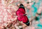 Cakapuzzle  Daldaki Kırmızı Kelebek Yakın Plan Puzzle Yapboz MDF Ahşap