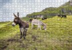 Cakapuzzle Yeşil Tepelerde Otlayan Eşekler Puzzle Yapboz MDF Ahşap