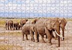 Cakapuzzle Afrika Savanada Filler Bir Arada Puzzle Yapboz MDF Ahşap
