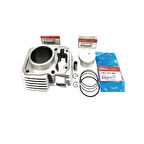 Honda CBF 150 Silindir Set Orjinal 12100-KTT-900