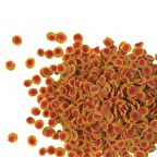 Tetra Pro Colour 100 Gram Kovadan Bölme Balık Yemi