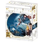 3D Puzzle 300 Parça