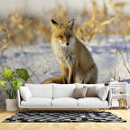 Kar Üzerinde Tilki Manzaralı Duvar Kağıdı