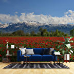 Erzincan Gelincik Manzaralı Duvar Kağıdı