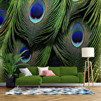 Tavus Kuşu Tüyü Desenli Duvar Kağıdı Baskı