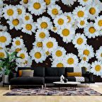 Papatya Temalı Duvar Kağıdı Baskı