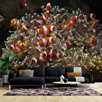 Japon Balığı ve Akvaryum Manzaralı Duvar Kağıdı