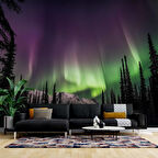Gece Dağ ve Orman Kutup Işıkları Manzaralı Duvar Kağıdı