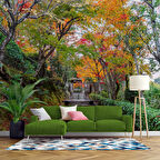 Orman ve Patika Yol Manzaralı Duvar Kağıdı