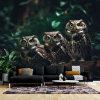 Orman ve Baykuş Manzaralı Duvar Kağıdı