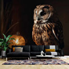 Gece ve Baykuş Manzaralı Duvar Kağıdı