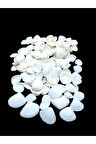 Deniz Kabukları 100 Gr NO-15-CAYCAY