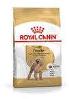 Royal Canin Poodle Yetişkin Kuru Köpek Maması 3kg