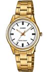 Casio LTP-V005G-7AUDF Kol Saati