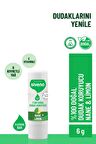 Siveno %100 Doğal Dudak Koruyucu Nane & Limon Bitkisel Lip Balm Krem Nemlendirici Parlatıcı Onarıcı 6 gr