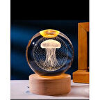 Deniz Anası Renk Değiştiren Işıklı Cam Küre