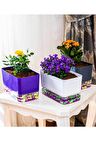 Akıllı Saksı 3 Lü Dekoratif Dikdörtgen Akıllı Saksı