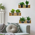 Raflı Bitki Tasarımlı Yapışkanlı Sticker 20*30 Cm 3Lü Set