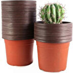 Thermoform Saksı 10 Adet 10.5 Cm