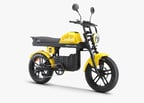 APE RYDER GİBBON ULTRA PRO AYNA HEDİYELİ