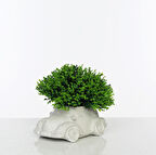 Hediyelik Klasik Vosvos Beton Saksı İçinde Yapay Çiçek Dekoratif Eşya  Yeşil