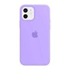 iPhone 12 ve 12 Pro Uyumlu İçi Kadife Logolu Silikon Lansman Kılıf