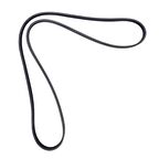 ESCORT FİESTA 1.6 1.8 GOLF 6 - IV 1.6 FSI V KAYIŞI 6PK1540 11281437475 GOLD